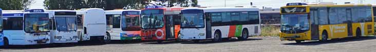 Go Bus Designline Citybus 890, Isuzu Journey 532, Zhong Tong LCK6910G 510, MAN 16.240 2223, Zhong Tong LCK6910G 524 & MAN 15.250 1079